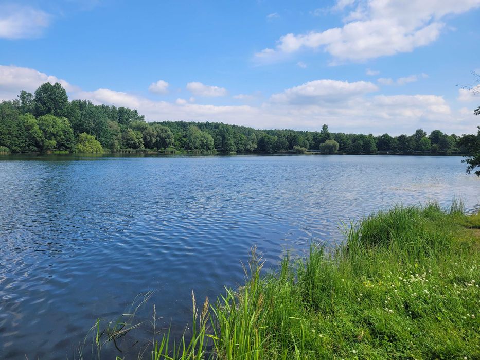 Apartament, Dolina Trzech Stawów, Katowice