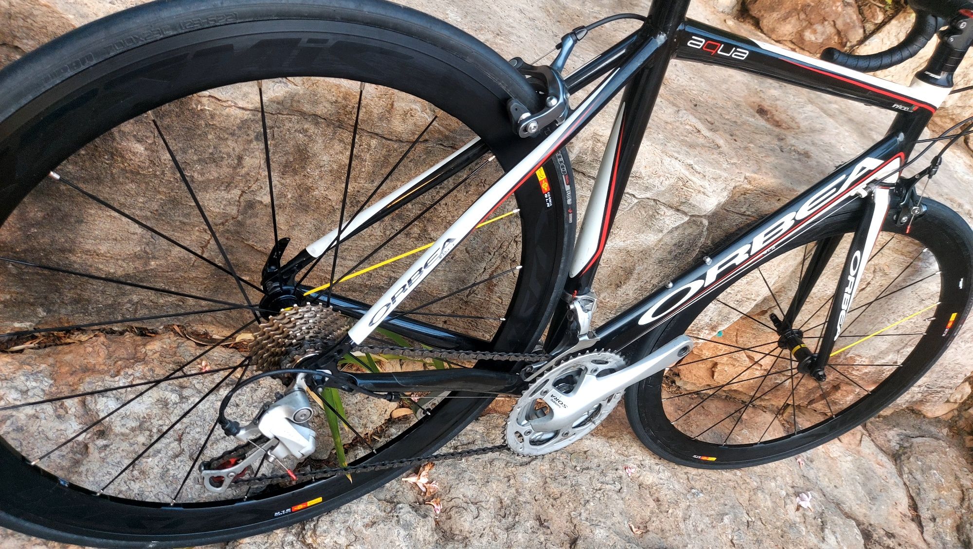 V...Orbea Aqua t54 Oportunidade