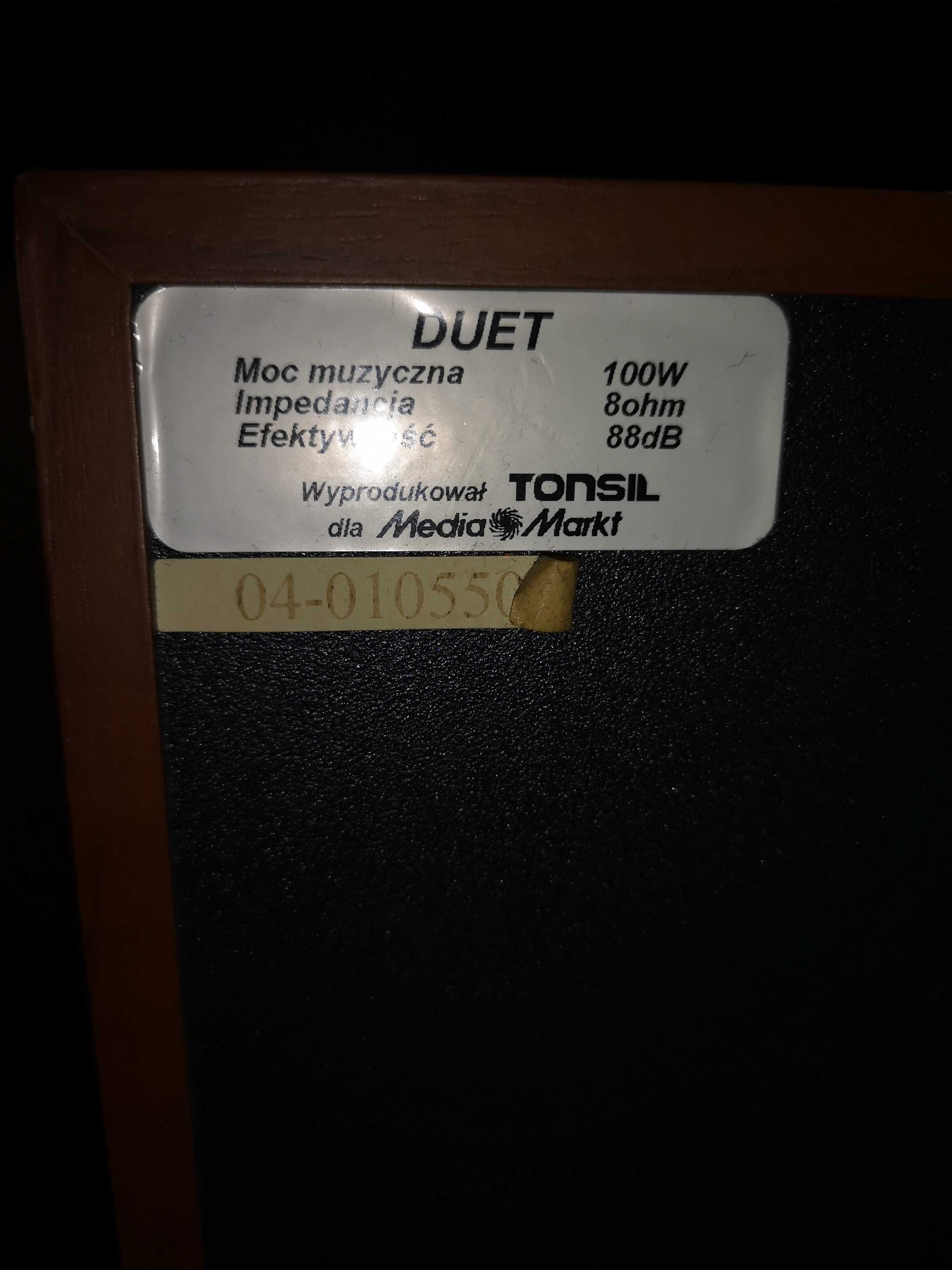 Kolumny TONSIL  100 W