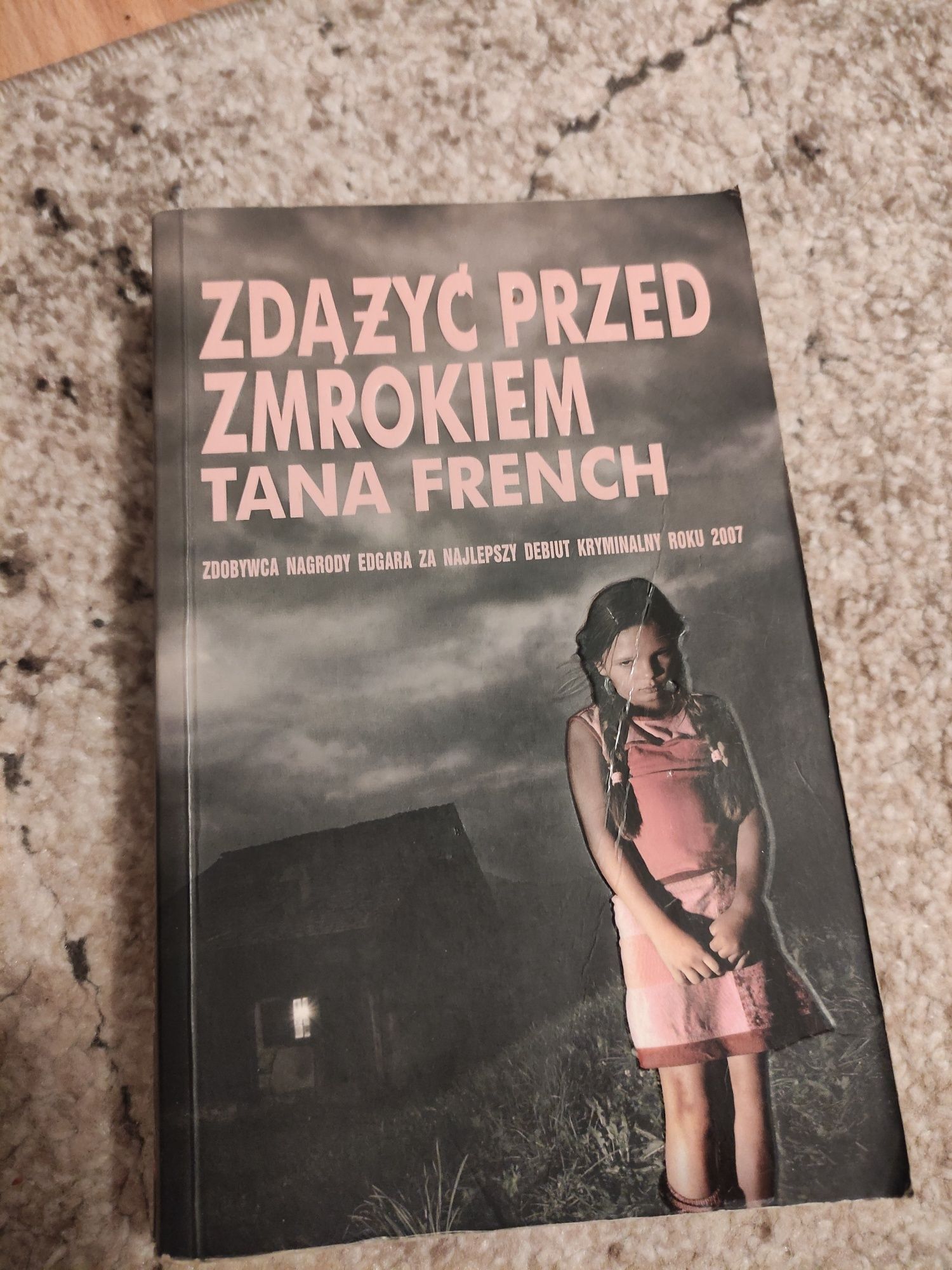 Zdążyć przed zmrokiem Tana French