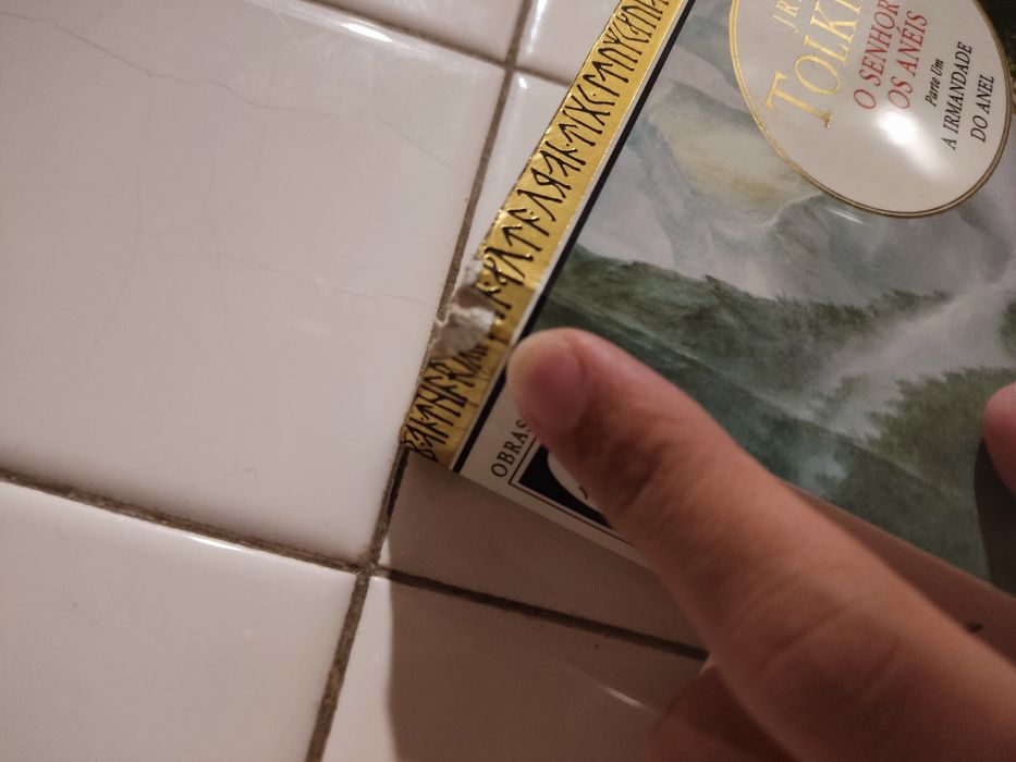 O Senhor dos Anéis - Parte 1 A irmandade do anel