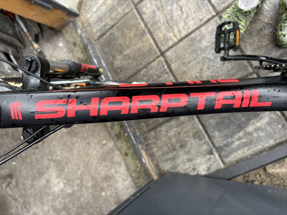 Rower Bulls sharptail 3
