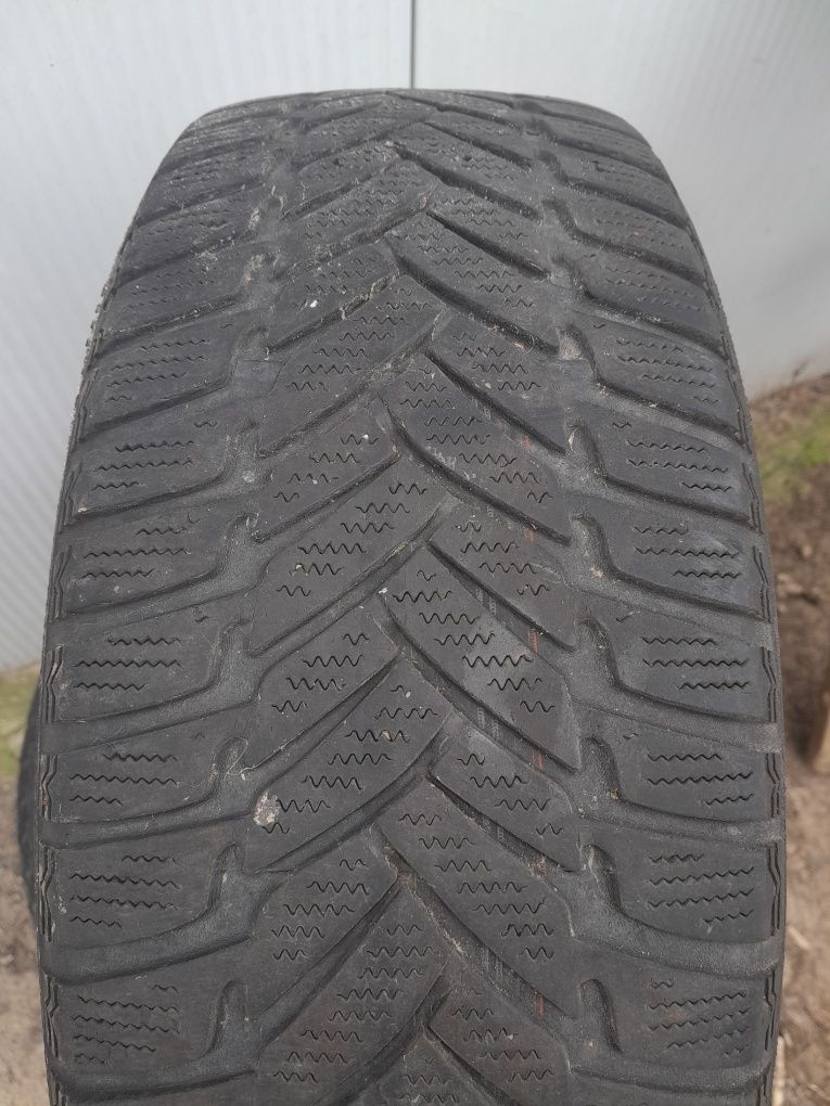 DUNLOP zimowe 195/55 r16