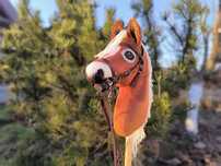 hobby horse A4 kasztanek haflinger ogłowie