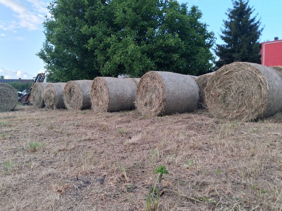 Siano Pierwszy Pokos 2025