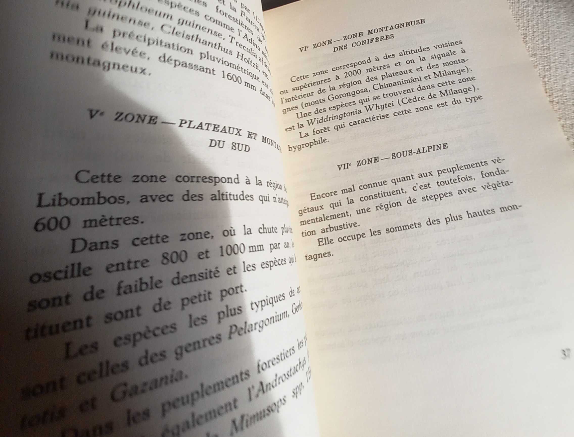 Dois livros antigos sobre Moçambique