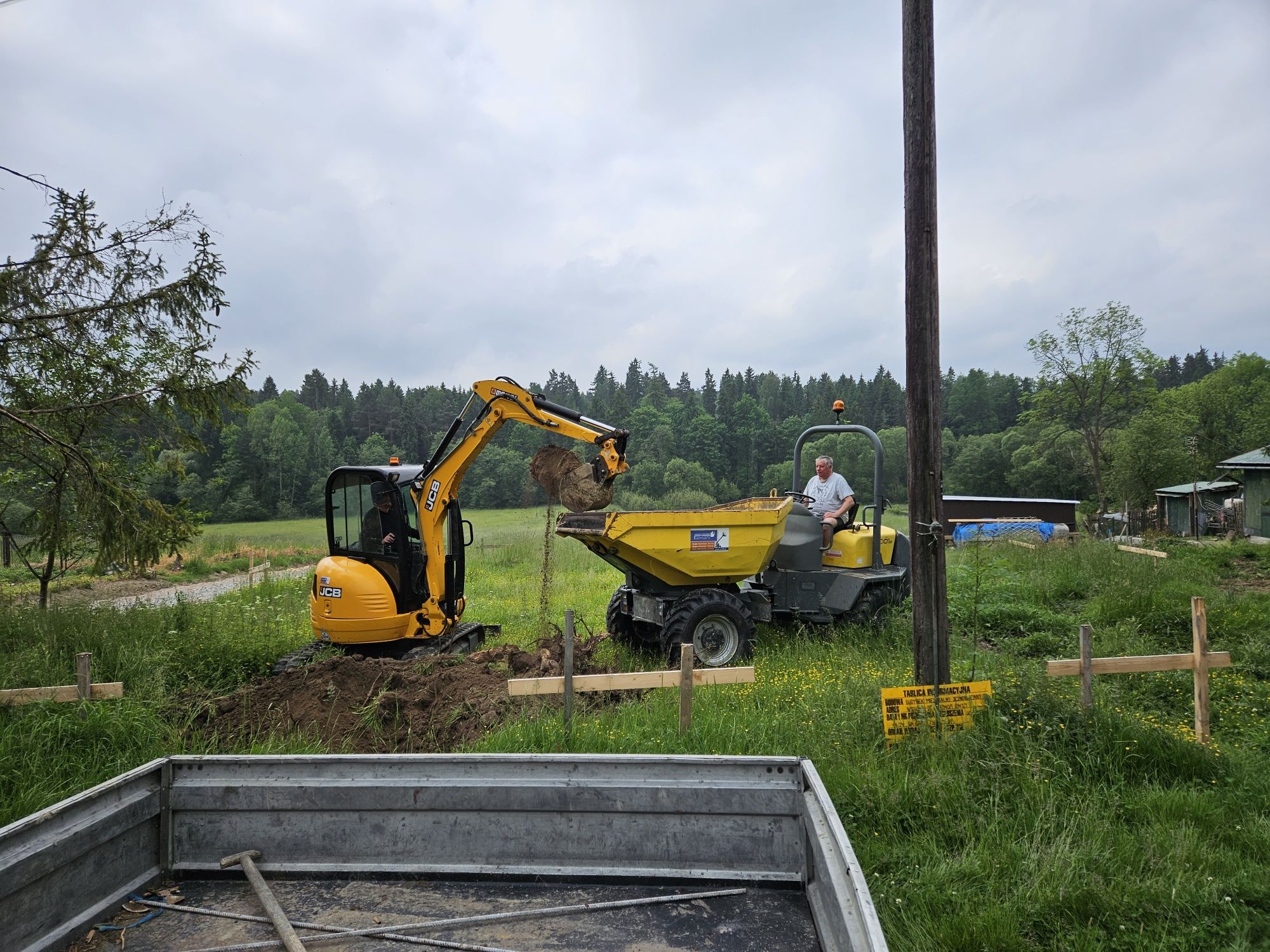 Wynajem mini koparki JCB 8030, ubijarki WACKER NEUSON DPU 6555