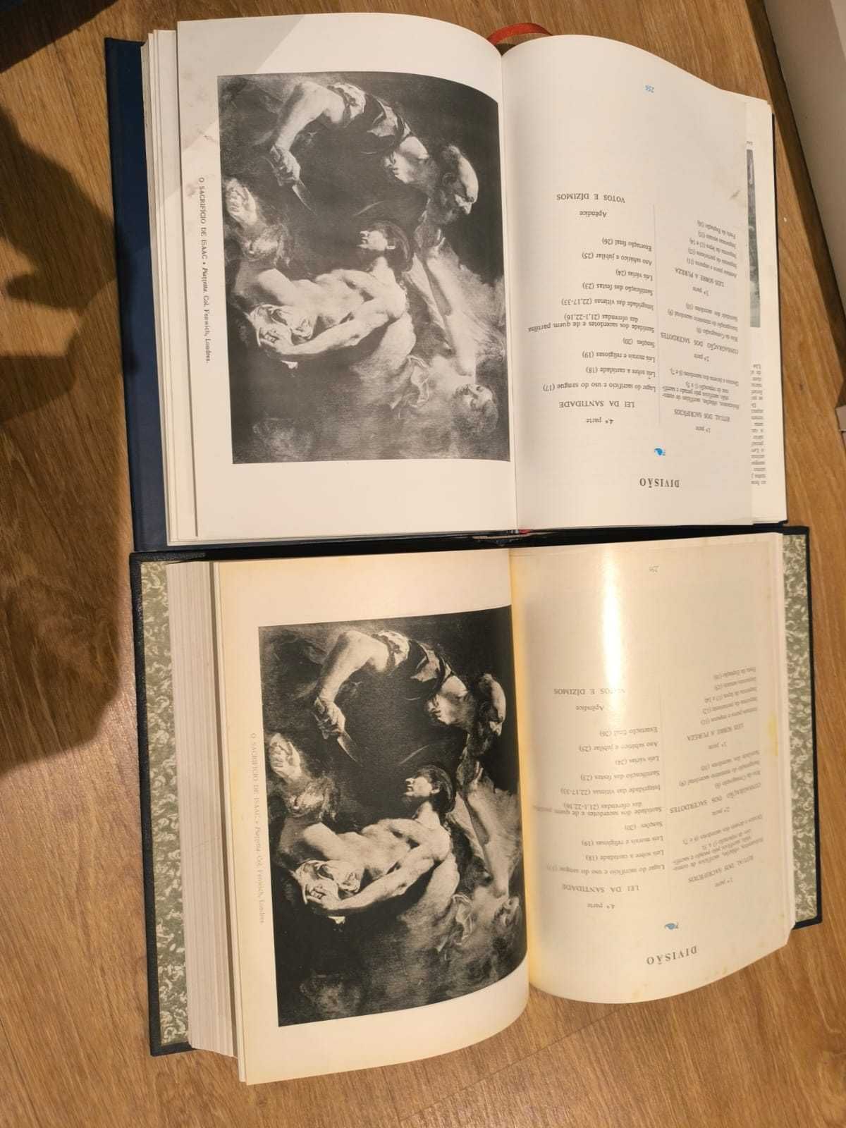 Bíblia Ilustrada 5 de 7 Volumes