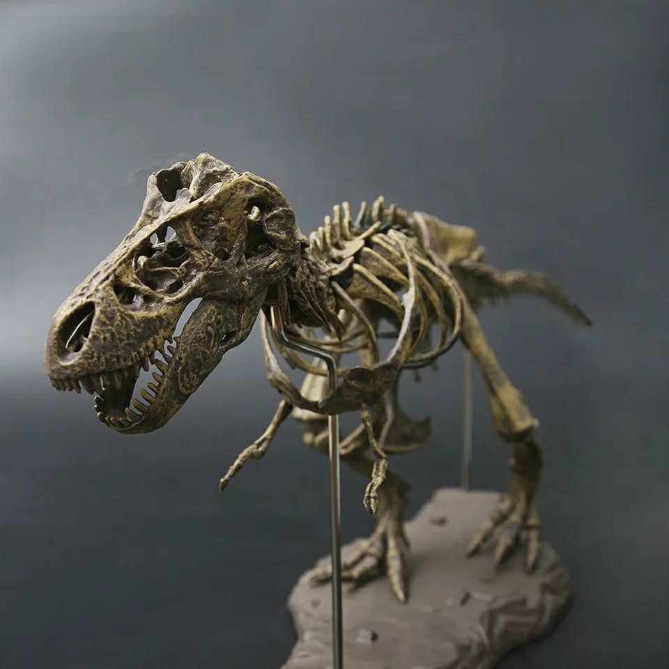 Esqueleto T-Rex Tiranossauro Fóssil