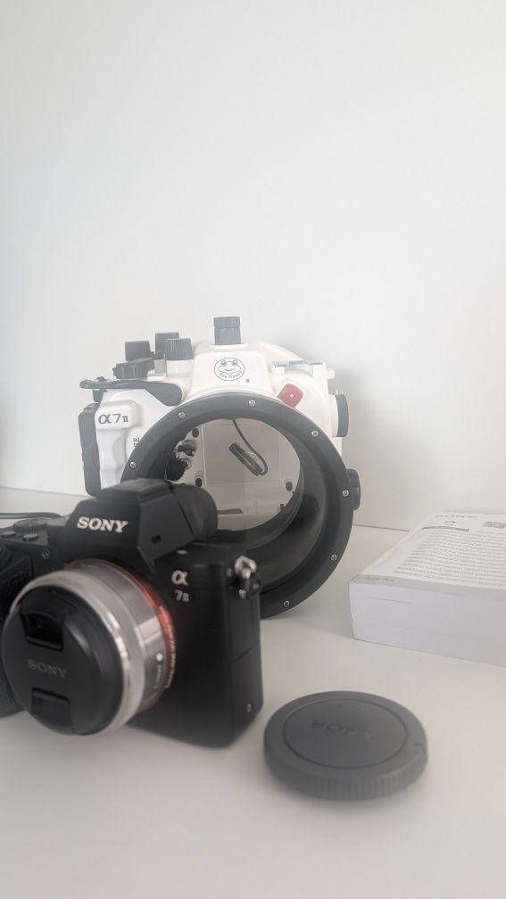 Sony A7II z zestawem podwodnym