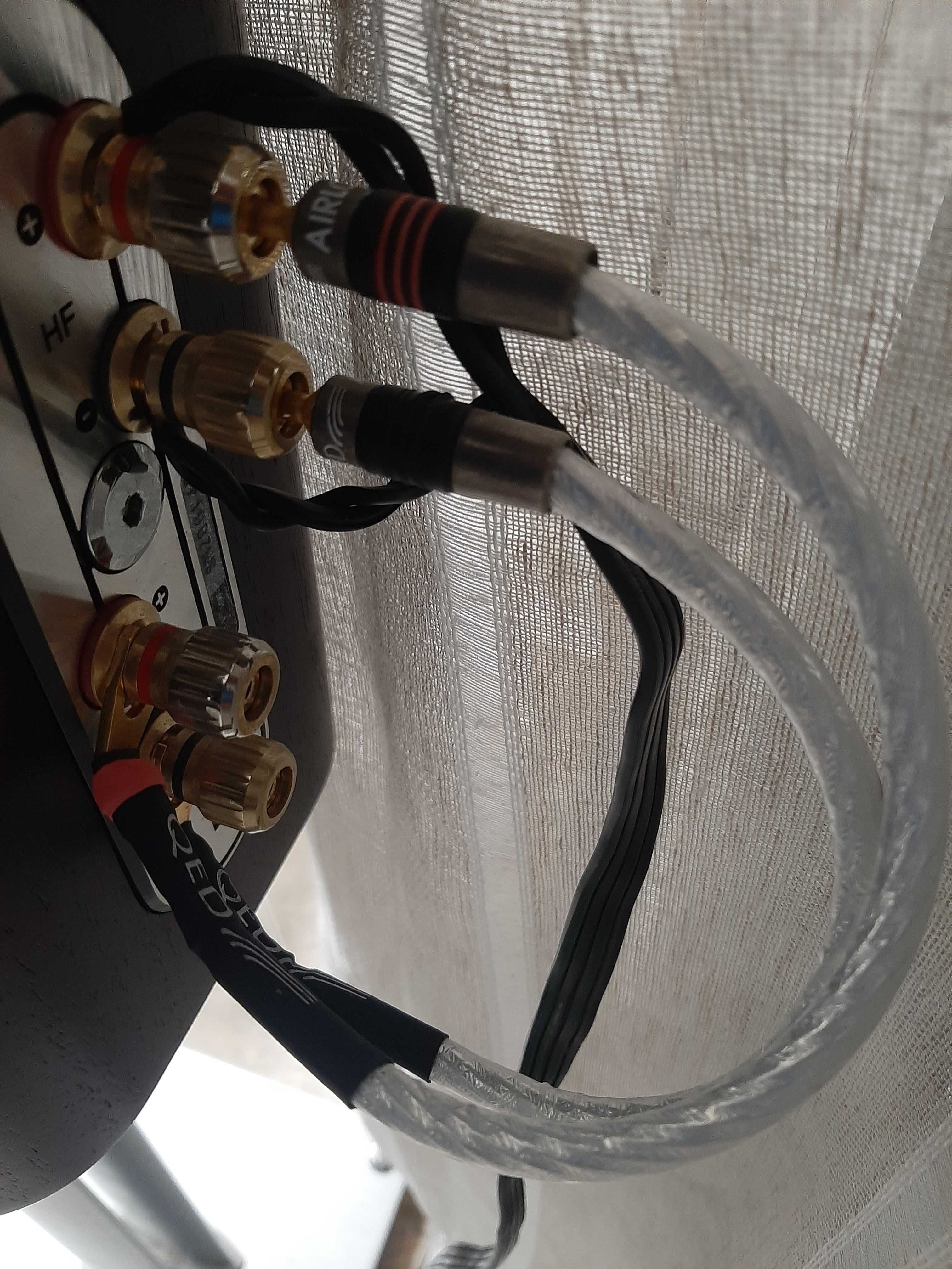 Cabo de coluna Qed Genesis e audioquest CV-1