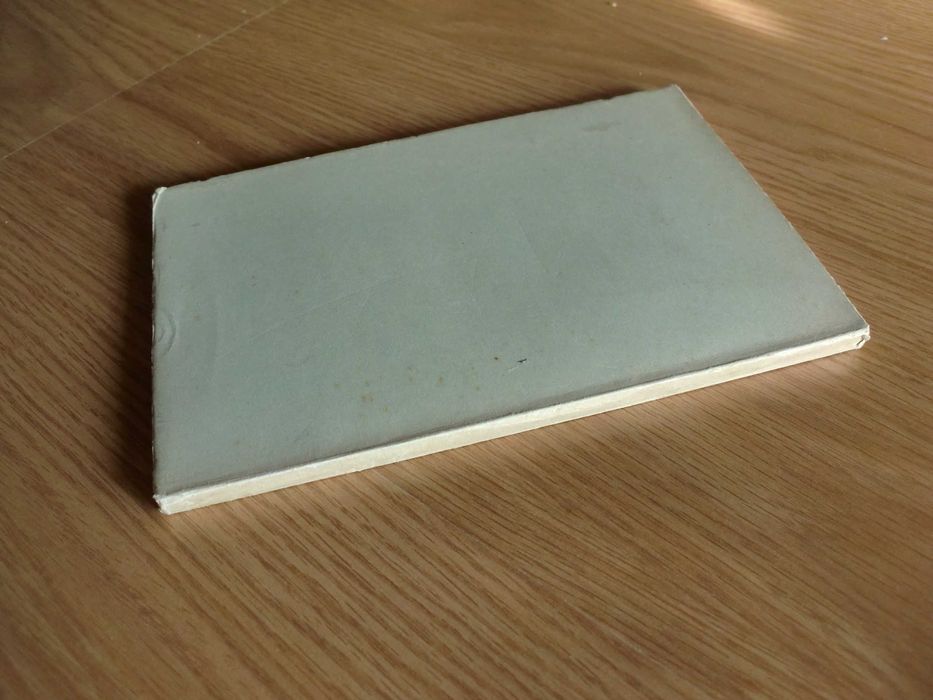 Folhas Perdidas de Ruy de Atayde