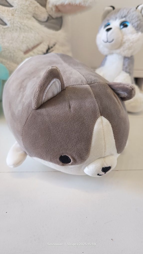 Maskotki squishmallows axolotl corgi poduszka jednorożec panda wilczek