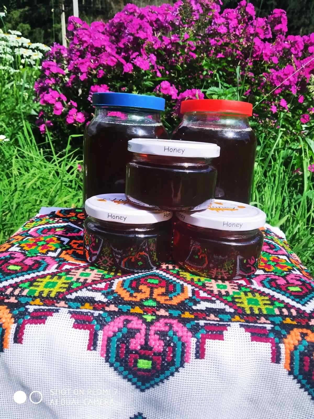 Мед з нектару квітів та рослин Карпатського регіону