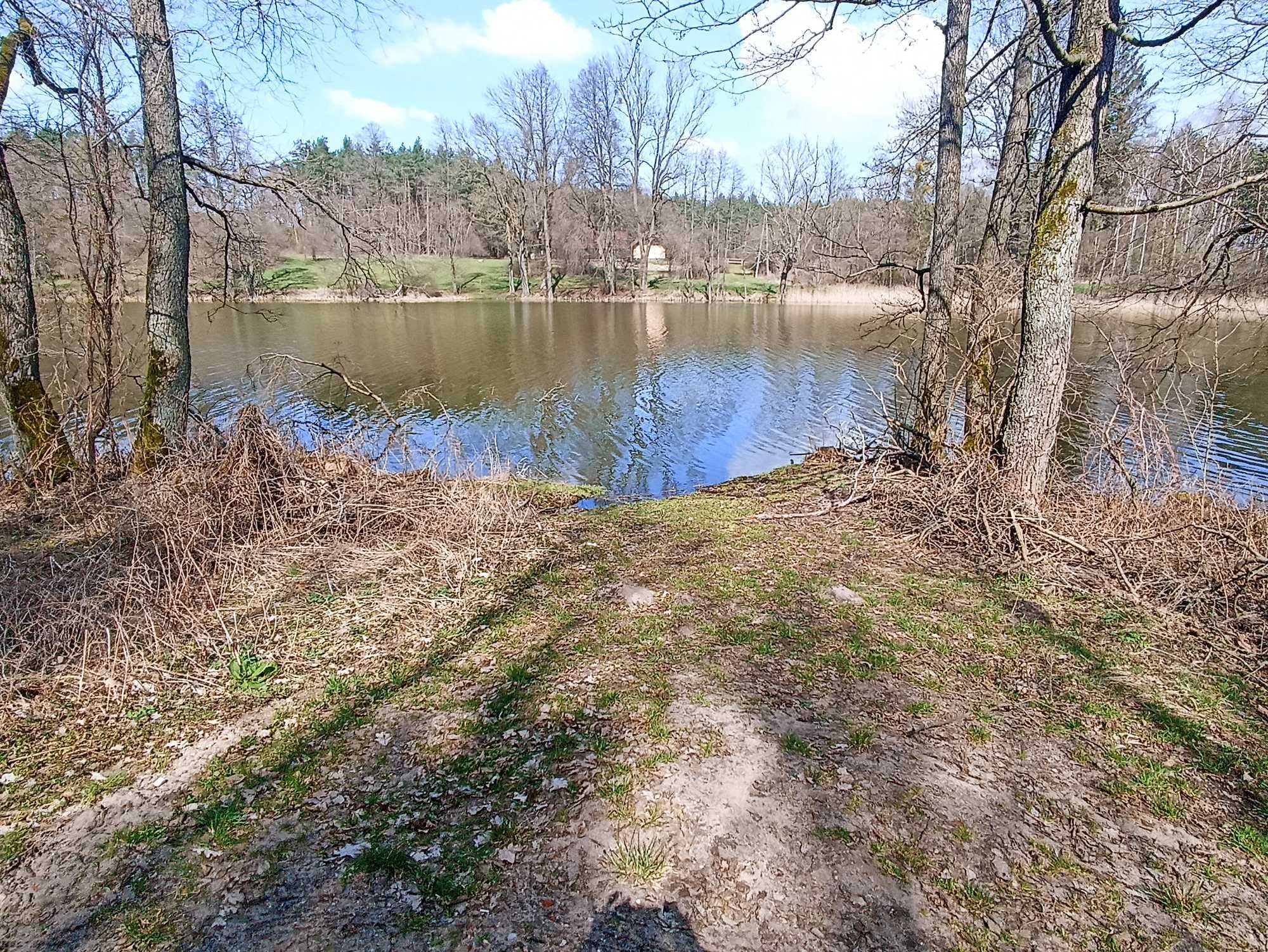 Działka przy lesie nad jeziorem Sarnowskim