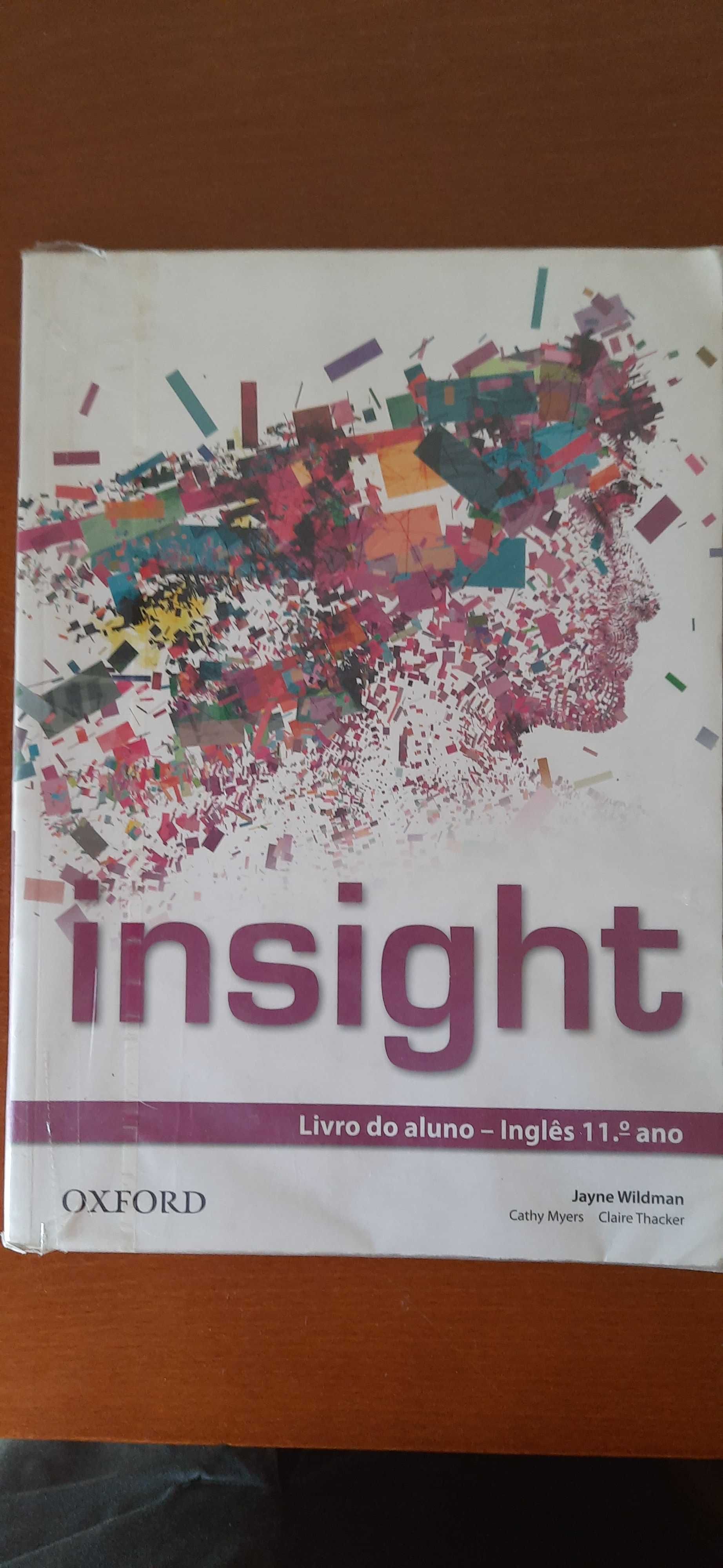 Manual Insight Oxford  11