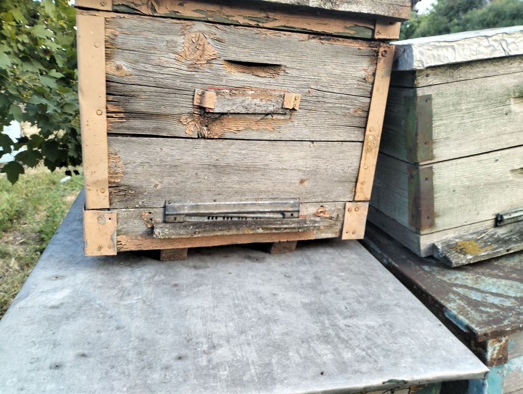 Продам улья "лежаки".