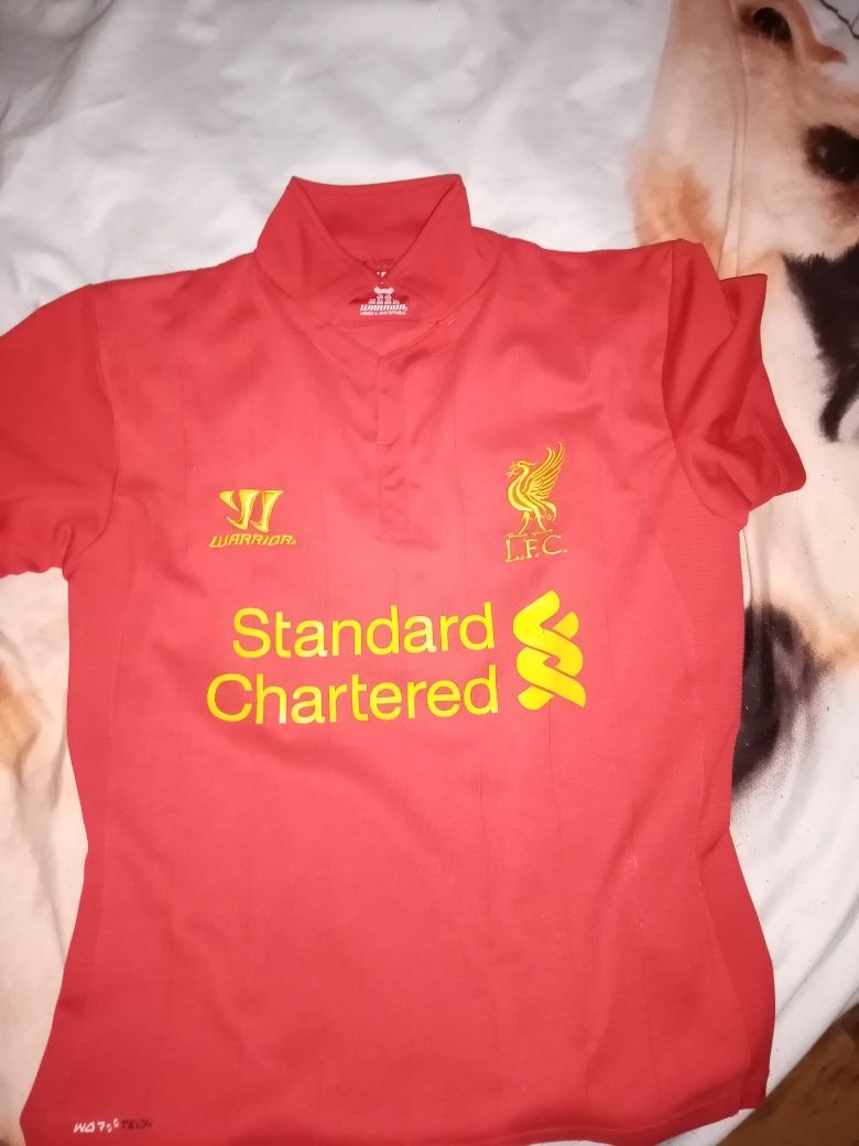 Koszulka piłkarska Liverpool warior