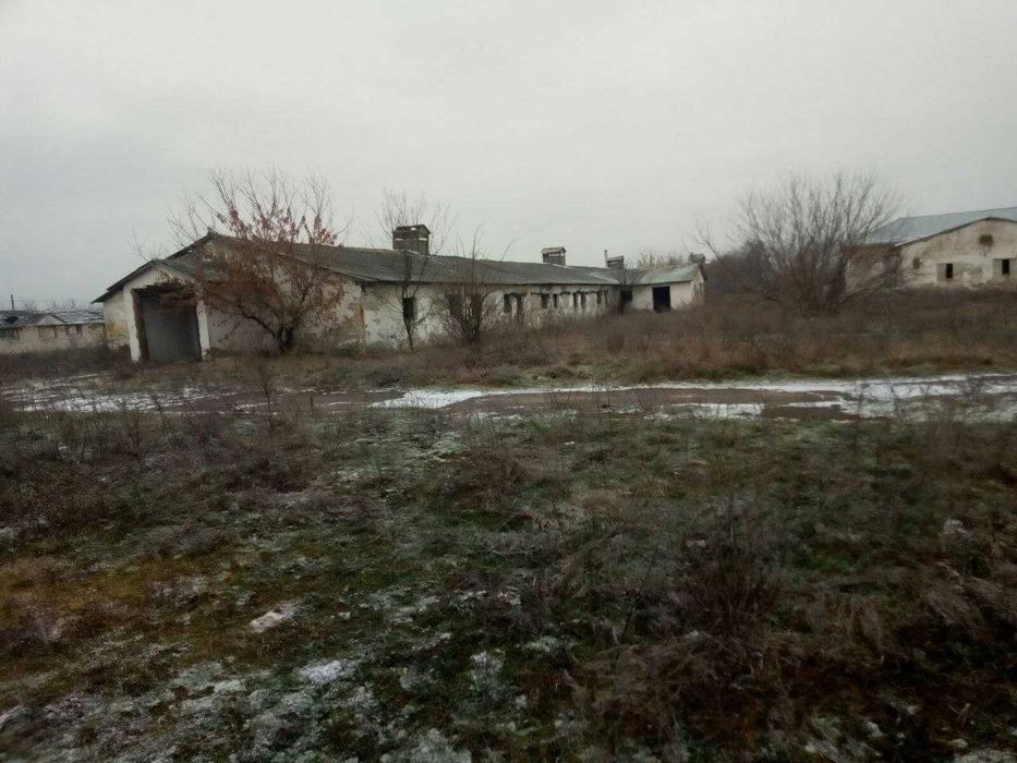 Ферма. Корівники. Будівлі. Тваринницький комплекс. Ділянка 2,8 га.