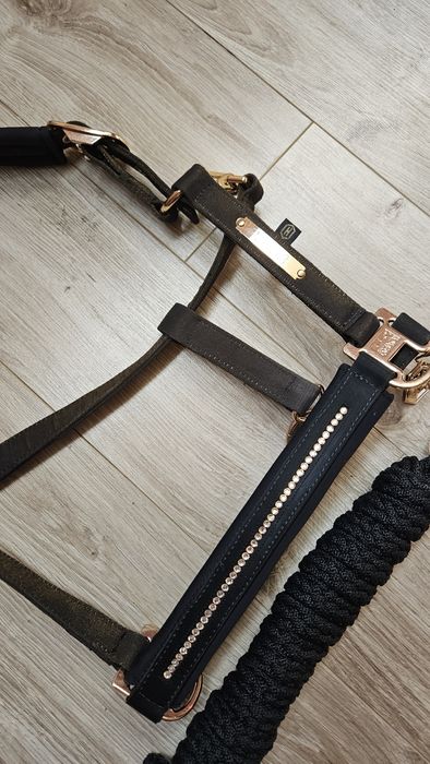 Kantar i uwiąz Eskadron Heritage 2024/25