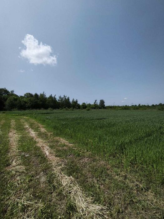 Продаж ділянки в с. Містки