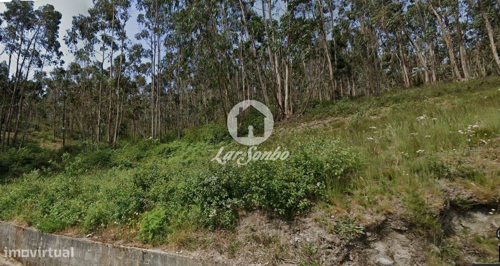 Terreno Rústico de 10.684m² no Centro de Vilarinho das Cambas, Vila...