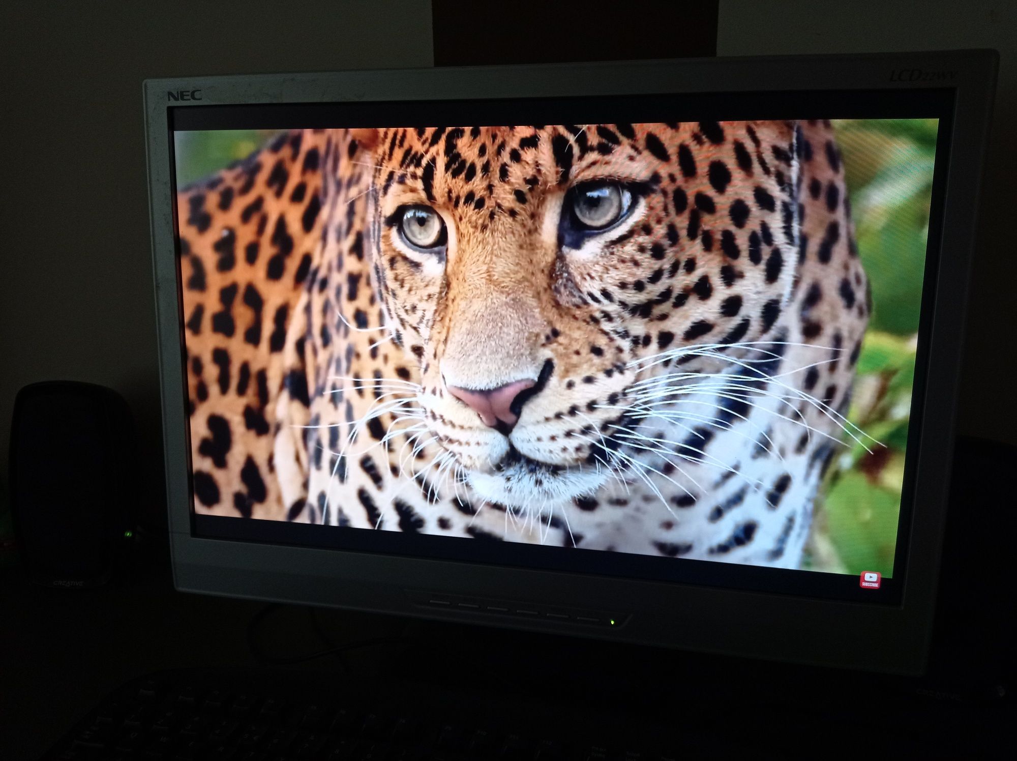 Monitor NEC LCD22WV 22 całe