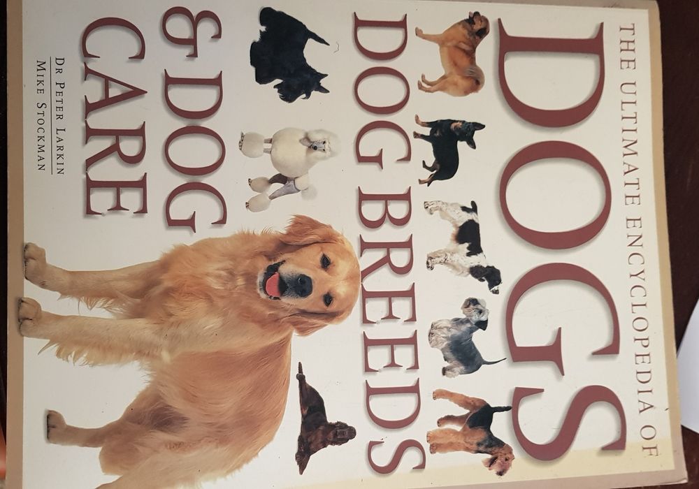 Cães  Dogs : dogs breeds  & dog cares