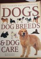 Dogs : dogs breeds  & dog cares