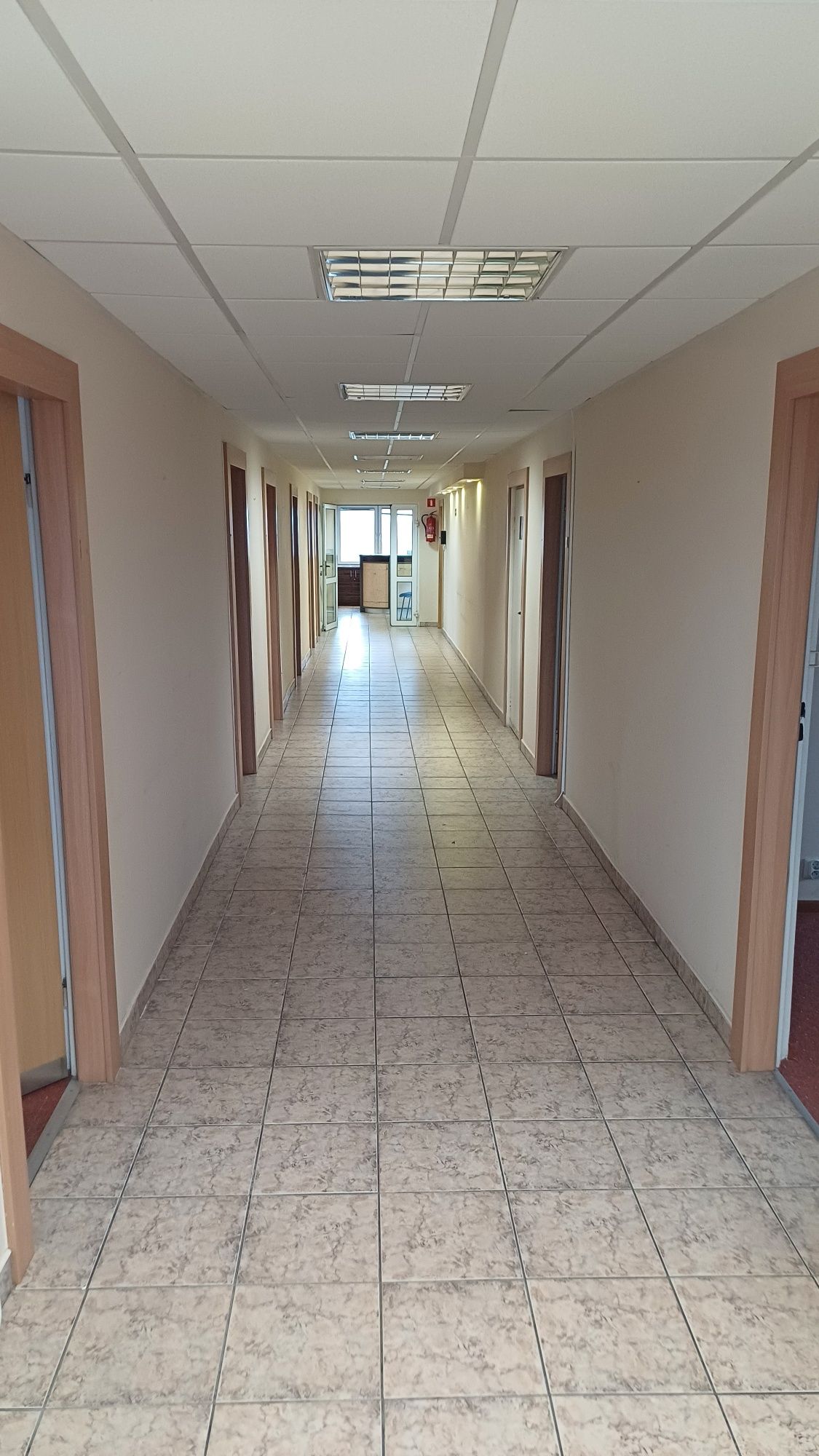 Całe V piętro! w biurowcu, w centrum, Orzeszkowej 32