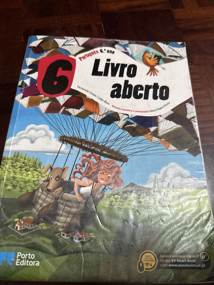 Manuais e livros de leitura do 6 ano