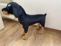 Maskotka pies XXL stojący rottweiler