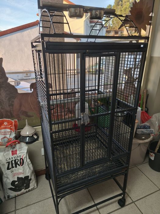 Gaiola papagaio excelente