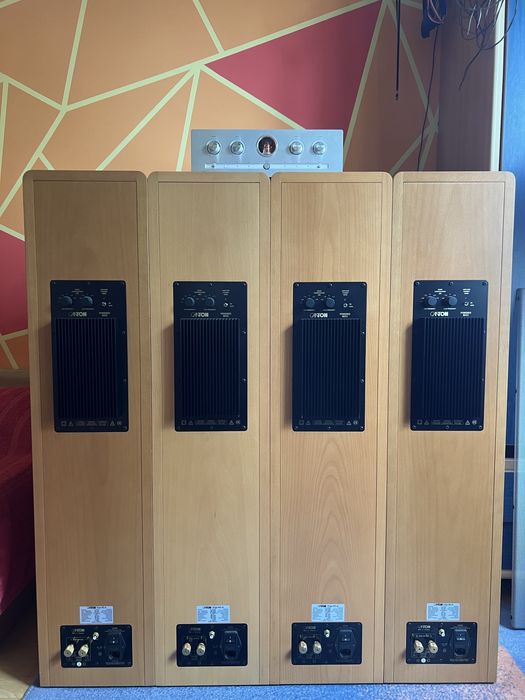 Kolumn podłogowe Canton Ergo RC-A aktywne flagowy model