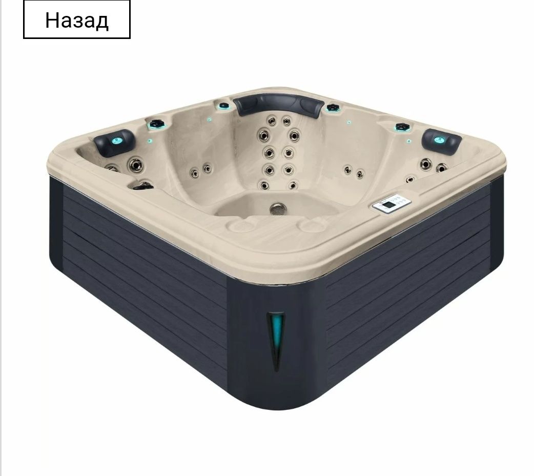 Джакузи Гидромассажный бассейн Passionspas Relax (204х204х85 см), Черн