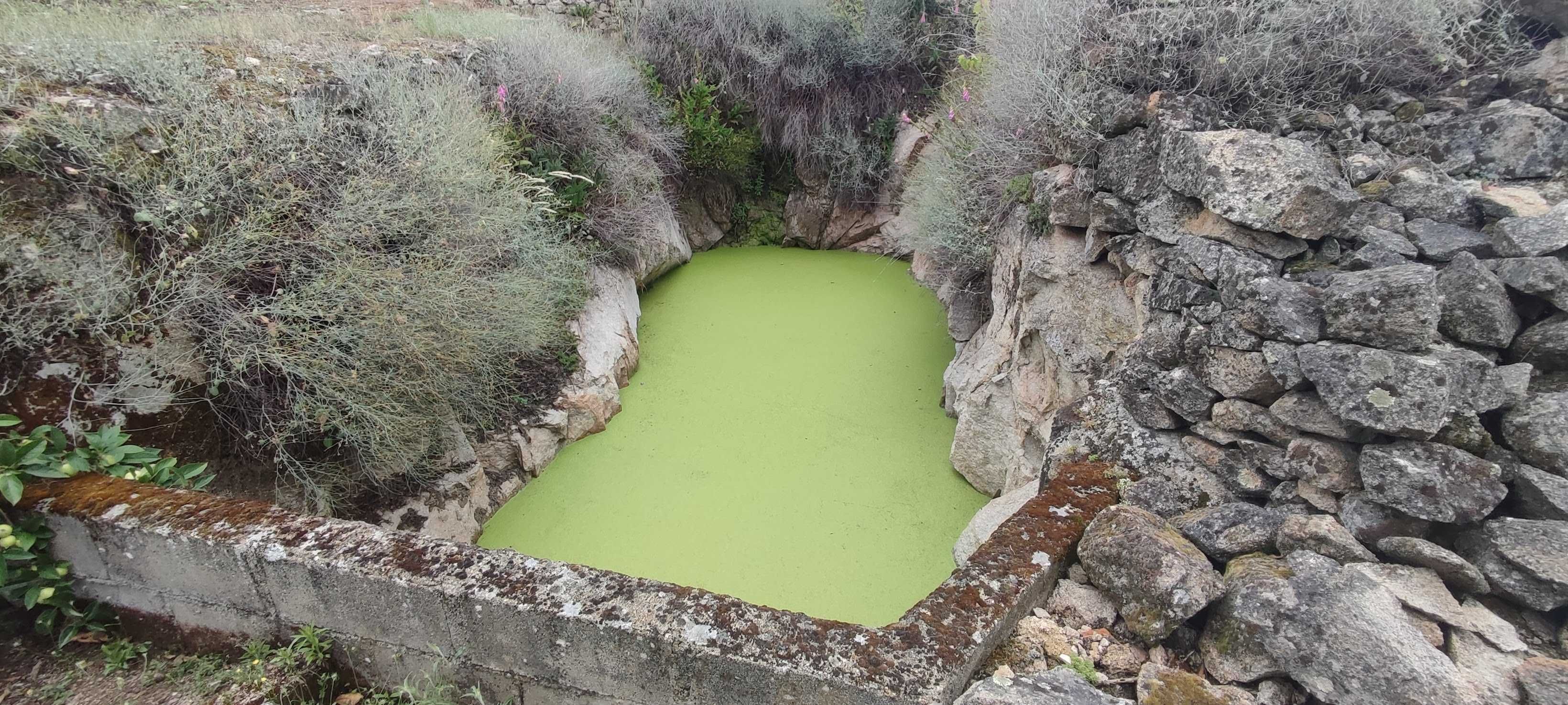Quintinha no Douro