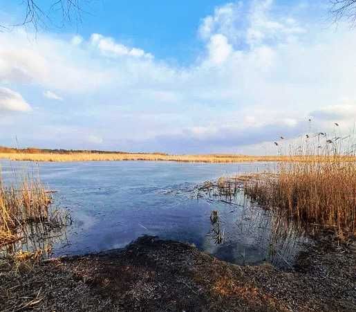 Продаж земельної ділянки з прямим виходом в Дніпро с. Коробівка