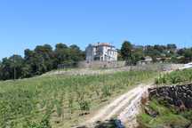 Quinta da Cerqueda, Santo Tirso