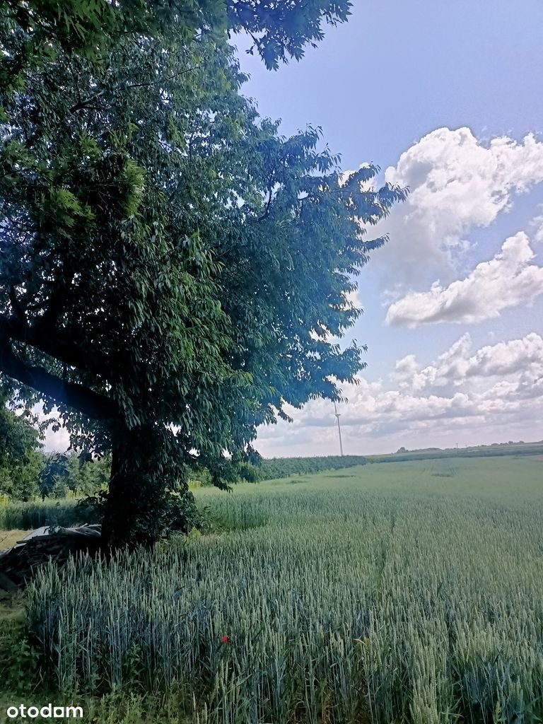 Sprzedam: Dom z Działką i Ogromnym Potencjałem pod Sandomierzem!