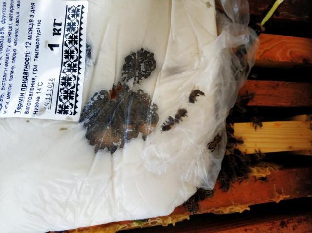 Паста -канді для підгодівлі бджіл.Апіканді.