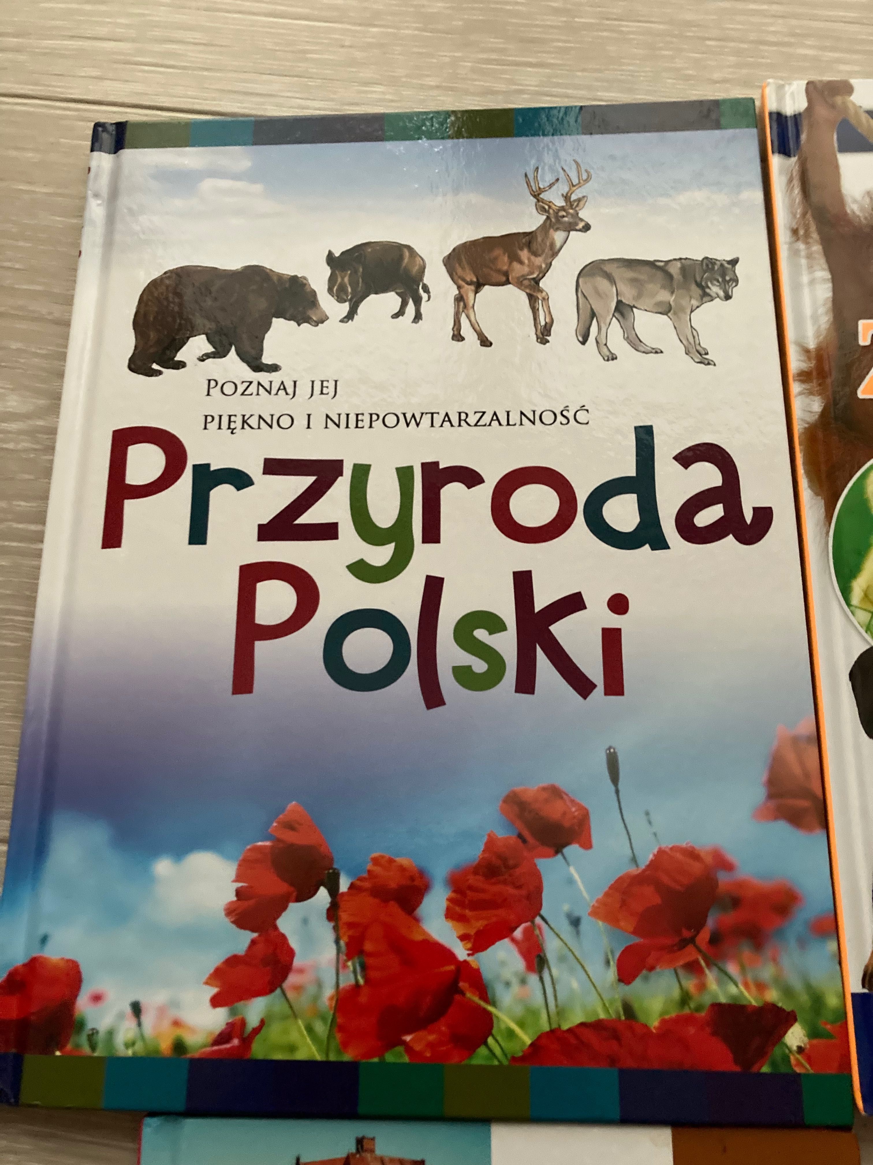 Książki popularni-naukowe przyroda Polski zielona sowa