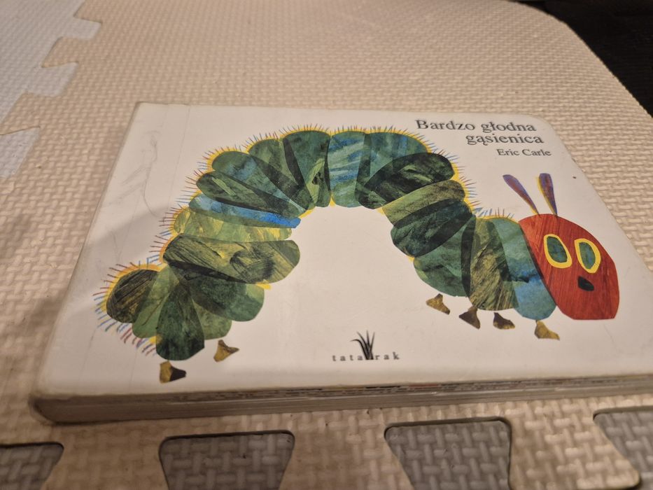 Bardzo głodna gąsienica