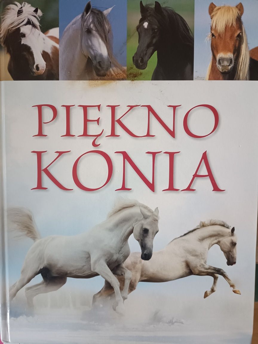 Piękno konia książka