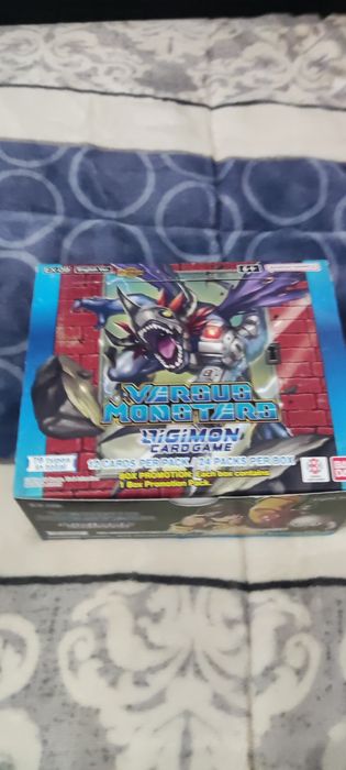Cartas Digimon ex09