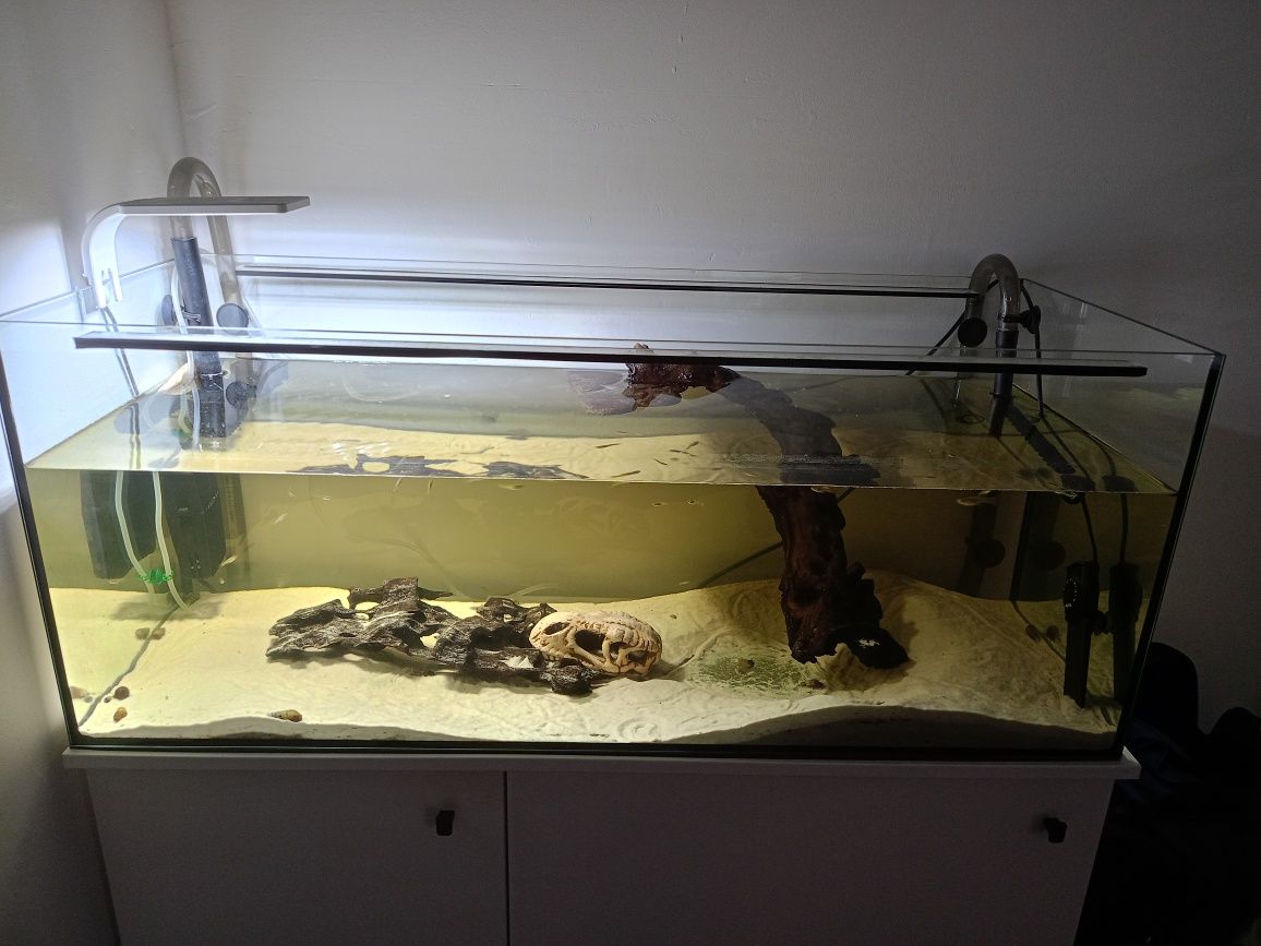 Akwarium proste 100l