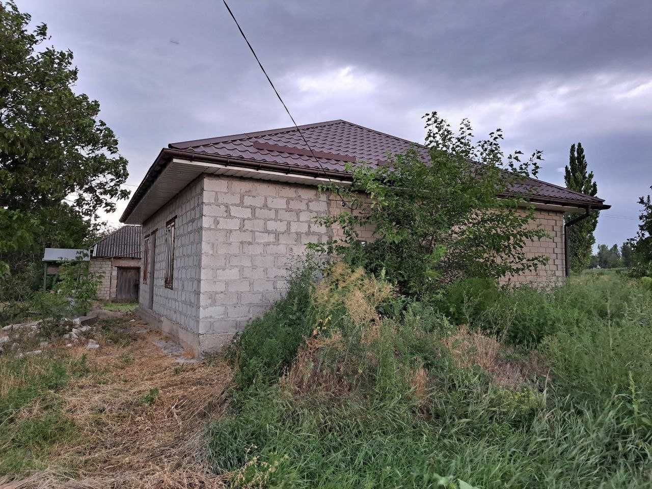 Продам приватний будинок в селищі Петриківка