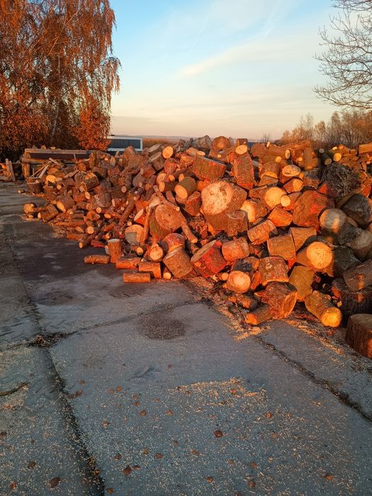 Drewno opałowe sosna modrzew akacja