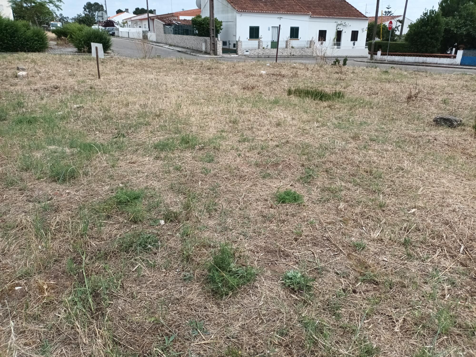 Vendo 2 terrenos urbanos com ligação entre si