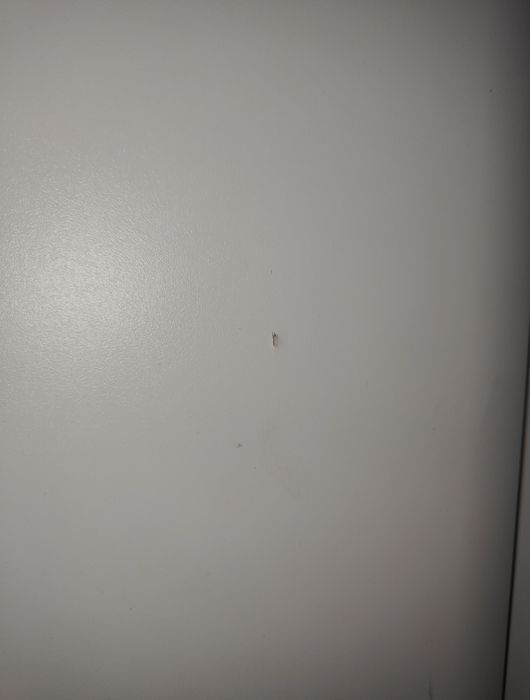 Biała Szafa dwudrzwiowa z półkami oraz drążkiem na wieszaki
