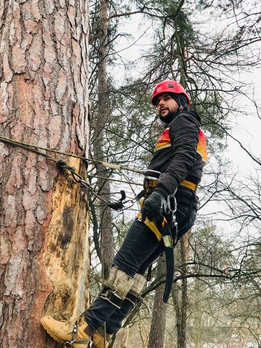 Спилить дерево Харьков, область, удаление опасных веток